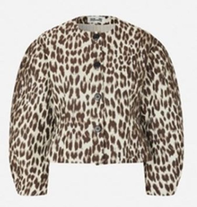  C1417 L.LEOPARD