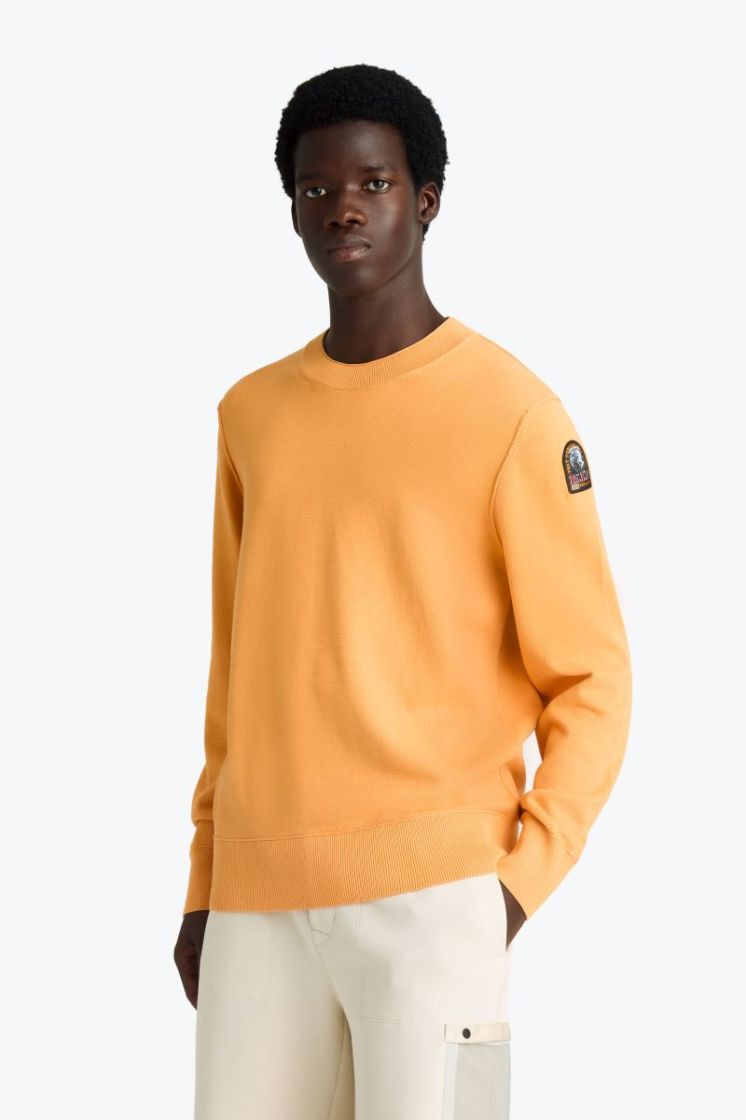  0291 APRICOT NE