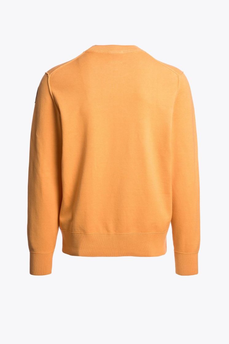  0291 APRICOT NE