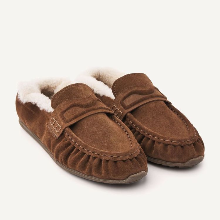 25S BROWN