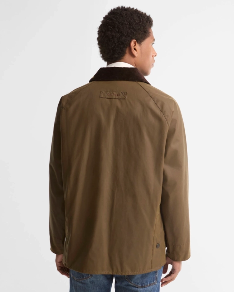 BR71 BROWN