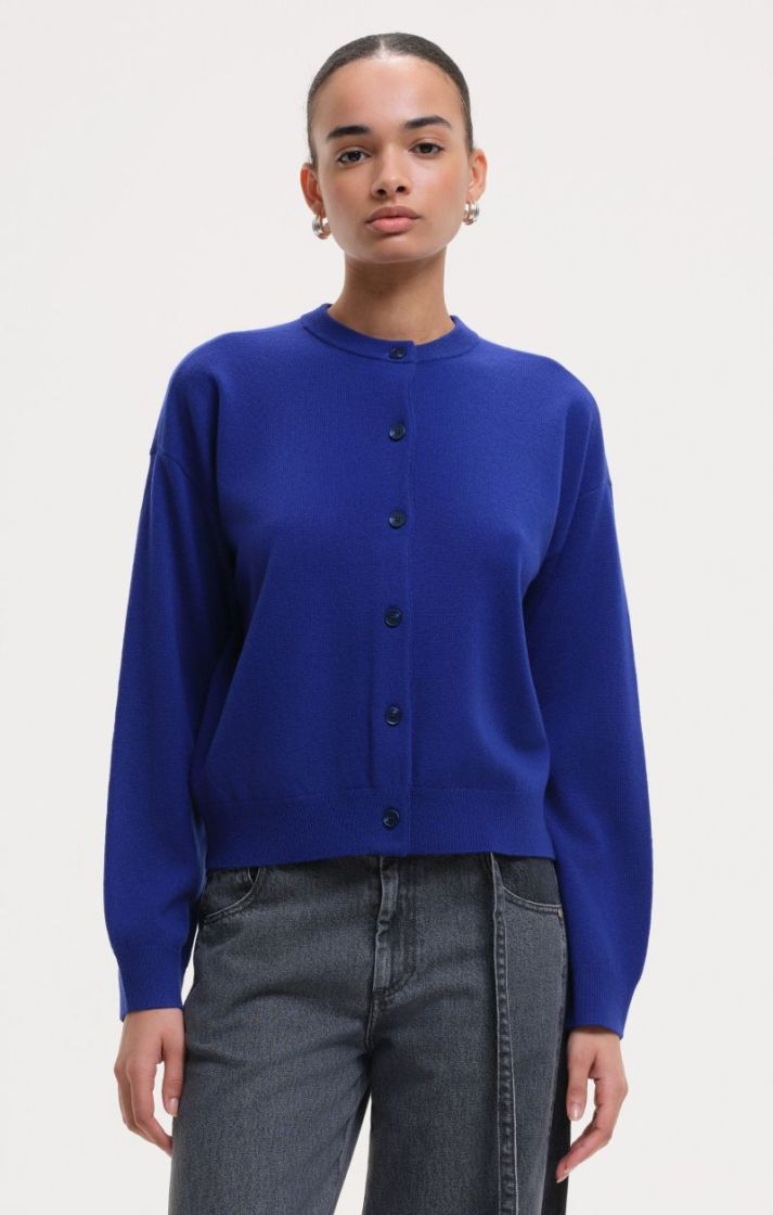 ELECTRIC BLUE