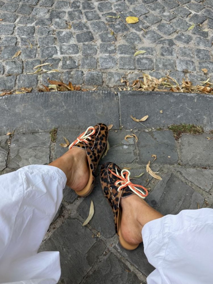  704 LEOPARD